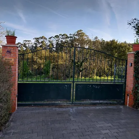 Abrigo Do Castelo - Pica-pau *