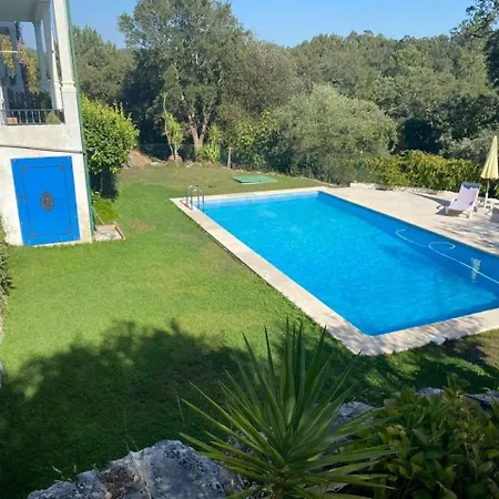 Abrigo Do Castelo - Pica-pau