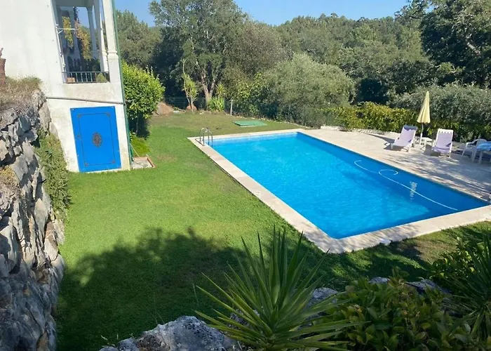 Abrigo Do Castelo - Pica-pau